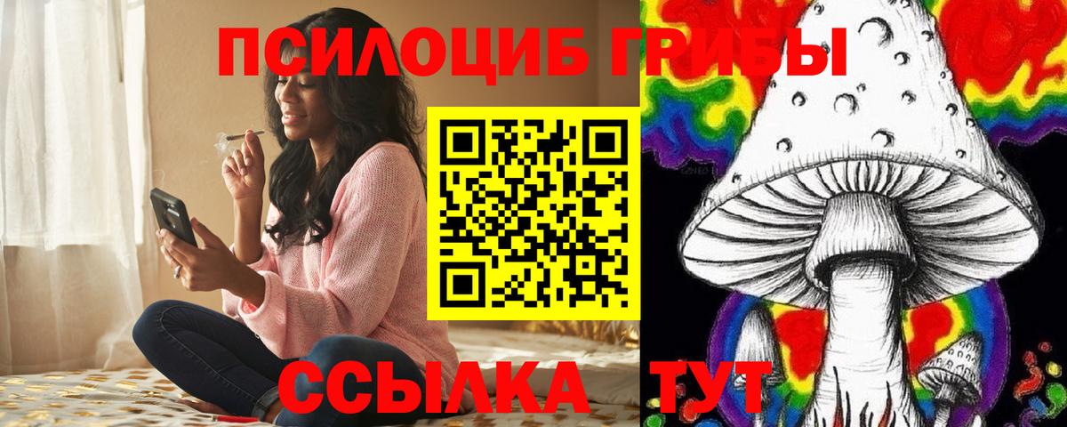 Галлюциногенные грибы GOLDEN TEACHER Новоалександровск