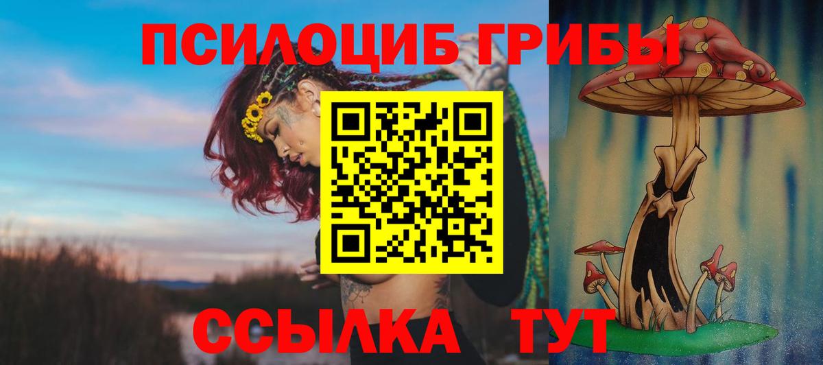Псилоцибиновые грибы Psilocybine cubensis  Псилоцибиновые грибы мицелий  Новоалександровск  Вход с VPN 